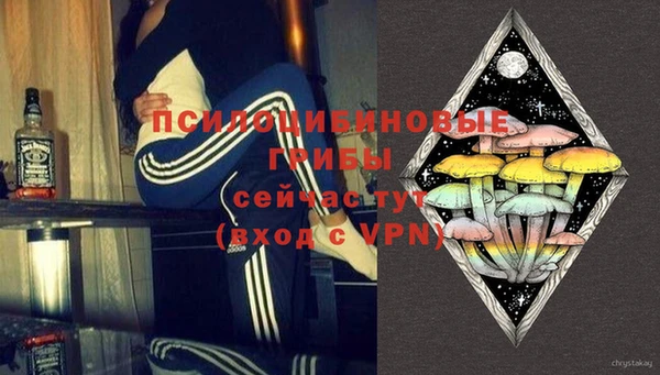 индика Абдулино